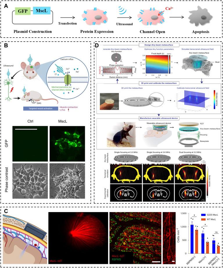 https://cdn.ncbi.nlm.nih.gov/pmc/blobs/36fa/12106918/5af5475f2594/IJN-20-6533-g0007.jpg