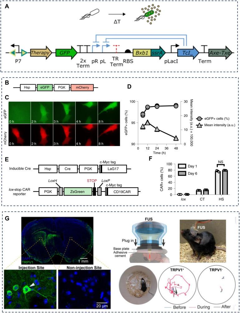 https://cdn.ncbi.nlm.nih.gov/pmc/blobs/36fa/12106918/6ad8bb16750a/IJN-20-6533-g0005.jpg
