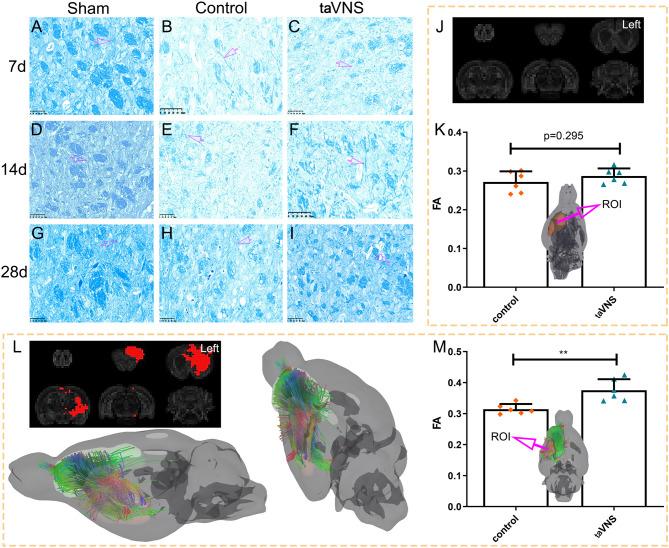 https://cdn.ncbi.nlm.nih.gov/pmc/blobs/36fa/12278549/6fa20788b335/12984_2025_1700_Fig3_HTML.jpg