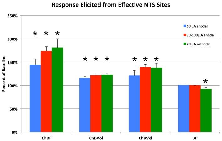 https://cdn.ncbi.nlm.nih.gov/pmc/blobs/36fb/5053990/6fe65a191cfc/fnana-10-00094-g0004.jpg