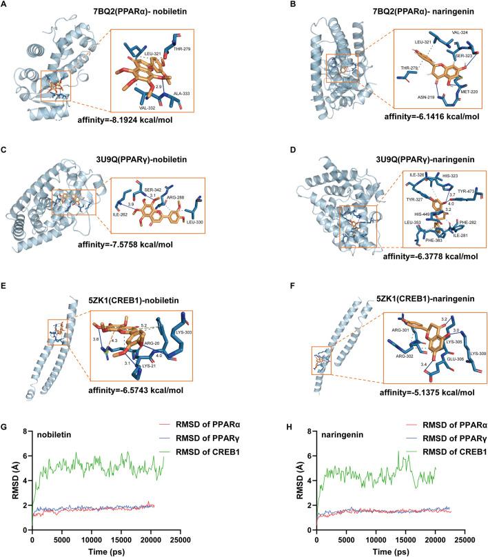 https://cdn.ncbi.nlm.nih.gov/pmc/blobs/36fc/12358417/8968c53ff5be/fphar-16-1628625-g005.jpg