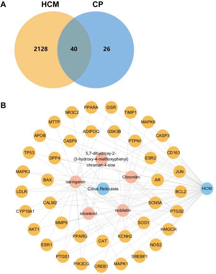 https://cdn.ncbi.nlm.nih.gov/pmc/blobs/36fc/12358417/f4b01b913f09/fphar-16-1628625-g001.jpg