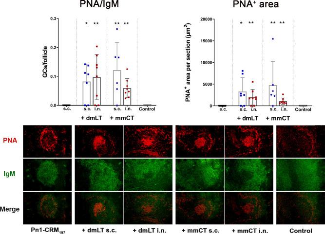 https://cdn.ncbi.nlm.nih.gov/pmc/blobs/36fc/9896006/1c365e53fbc6/fimmu-13-1078904-g004.jpg