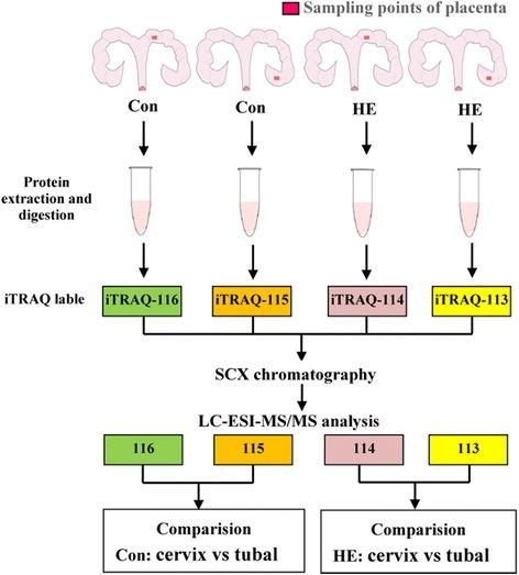 https://cdn.ncbi.nlm.nih.gov/pmc/blobs/36fd/5331709/5ba115274baf/12864_2017_3601_Fig1_HTML.jpg