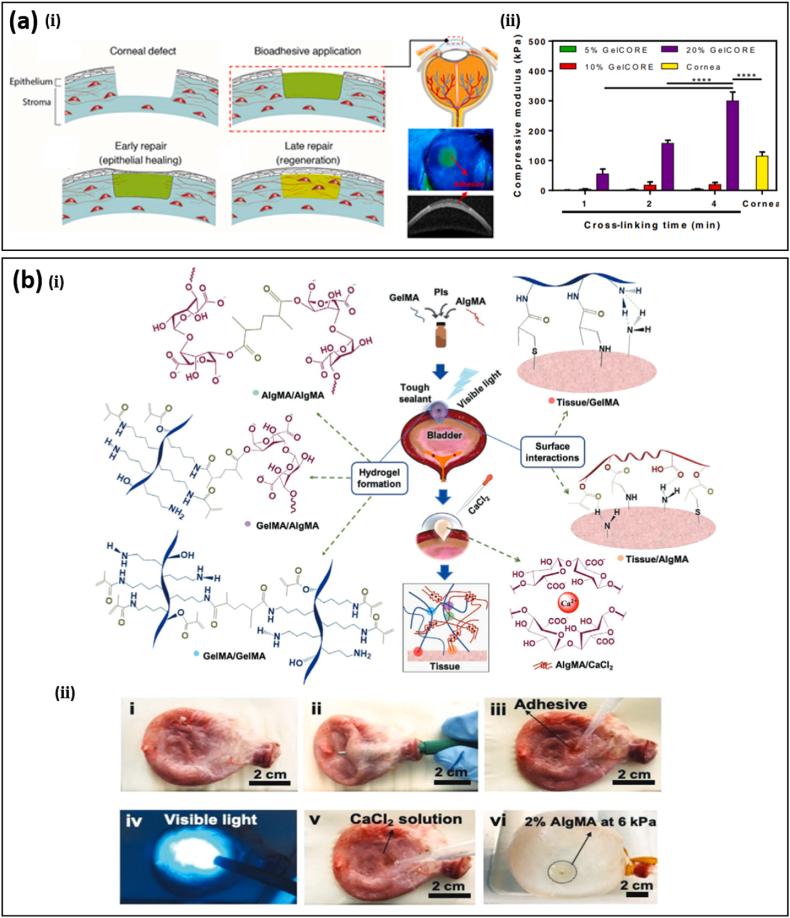 https://cdn.ncbi.nlm.nih.gov/pmc/blobs/36fe/9062426/3f298e7d56cb/gr4.jpg