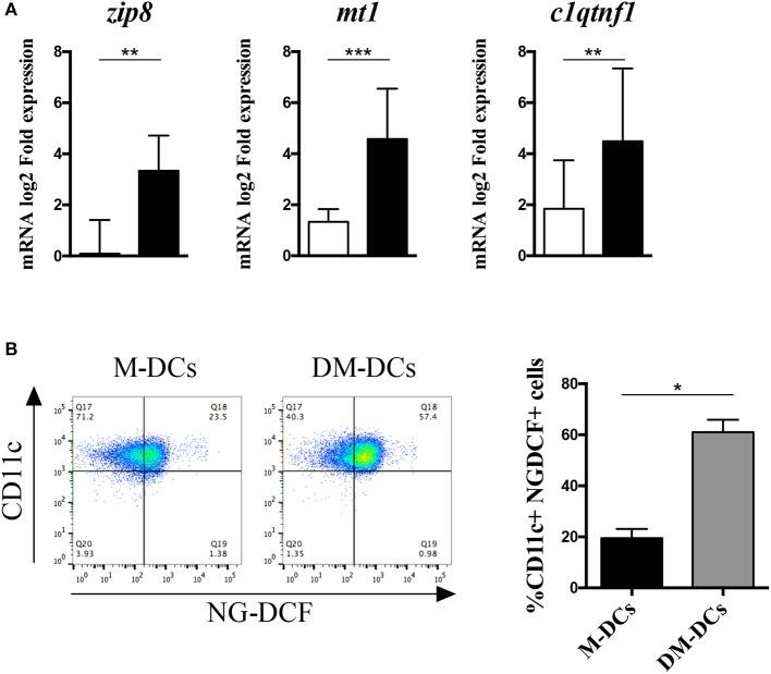 https://cdn.ncbi.nlm.nih.gov/pmc/blobs/3701/6547838/c608a42dc996/fimmu-10-01171-g0006.jpg