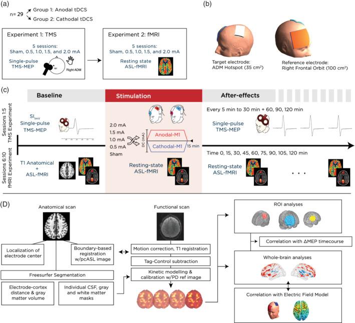 https://cdn.ncbi.nlm.nih.gov/pmc/blobs/3701/7267945/b4ab7123b769/HBM-41-1644-g001.jpg