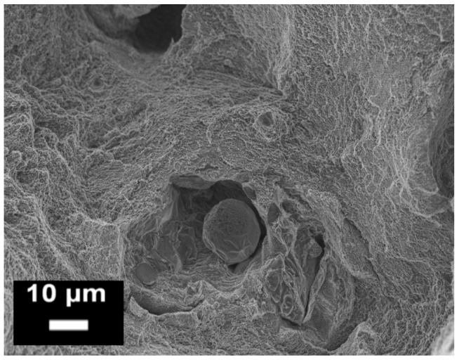 https://cdn.ncbi.nlm.nih.gov/pmc/blobs/3702/5344617/1d734a890d17/materials-10-00076-g016.jpg