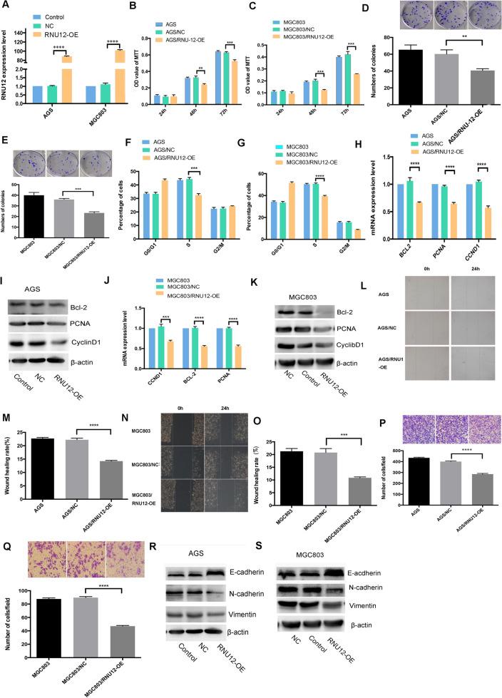 https://cdn.ncbi.nlm.nih.gov/pmc/blobs/3705/10169768/cd4836f45f89/41598_2023_34539_Fig2_HTML.jpg