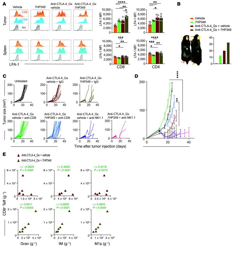 https://cdn.ncbi.nlm.nih.gov/pmc/blobs/3705/9246385/3be3b344c987/jci-132-154152-g226.jpg