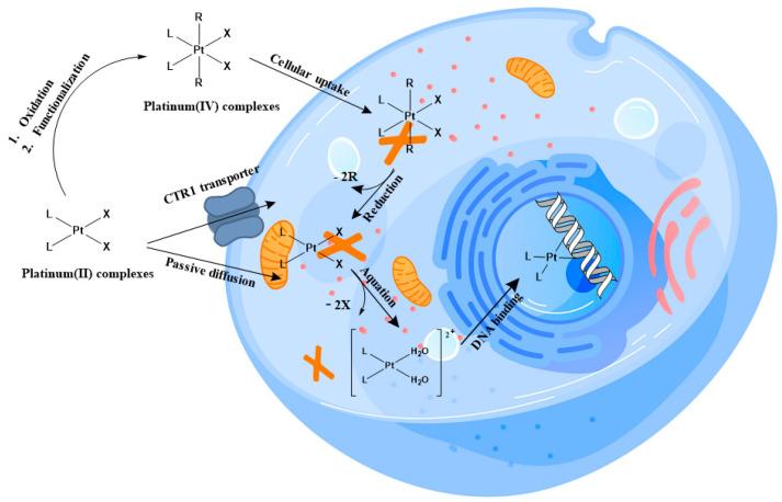 https://cdn.ncbi.nlm.nih.gov/pmc/blobs/3706/10144581/8367587f5f91/molecules-28-03407-g001.jpg