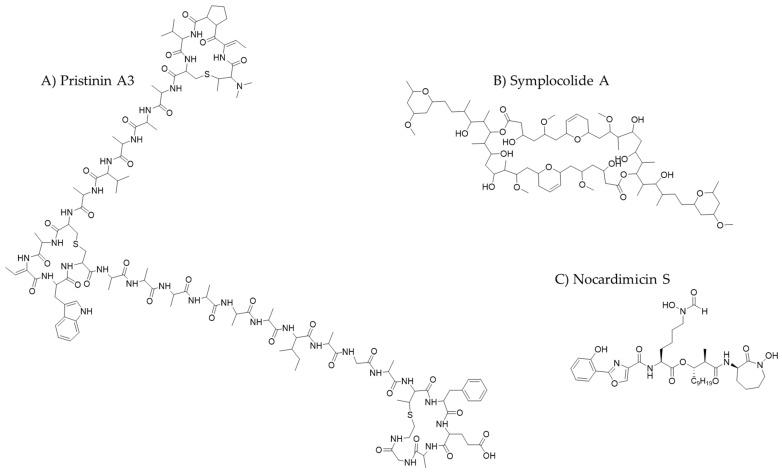 https://cdn.ncbi.nlm.nih.gov/pmc/blobs/3707/12251386/98e8aa9e6eb2/molecules-30-02868-g009.jpg