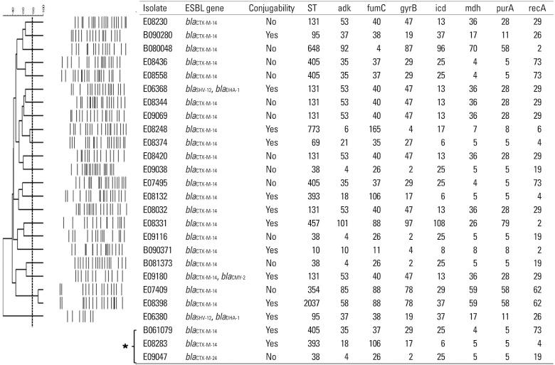 https://cdn.ncbi.nlm.nih.gov/pmc/blobs/3709/3936615/27c1688cb664/ymj-55-467-g003.jpg