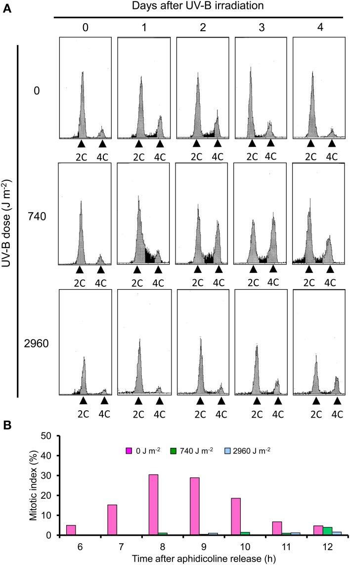 https://cdn.ncbi.nlm.nih.gov/pmc/blobs/3709/4404814/31c43233cf14/fpls-06-00254-g0002.jpg