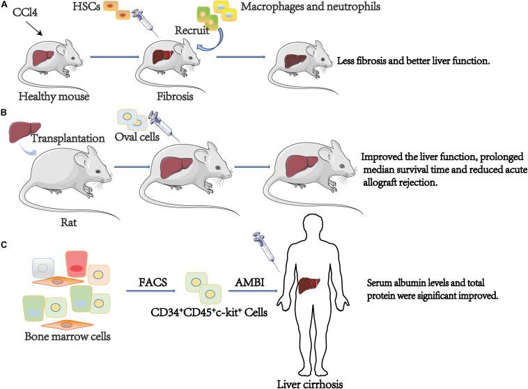 https://cdn.ncbi.nlm.nih.gov/pmc/blobs/3709/7884772/86408258cbe7/fgene-12-598855-g004.jpg