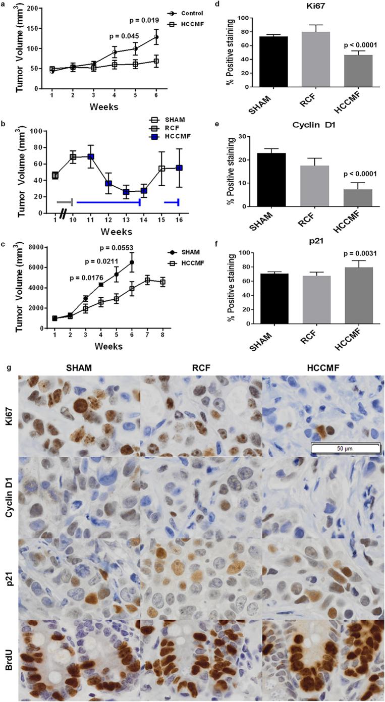 https://cdn.ncbi.nlm.nih.gov/pmc/blobs/370a/6604666/420bb629ac75/gr2.jpg