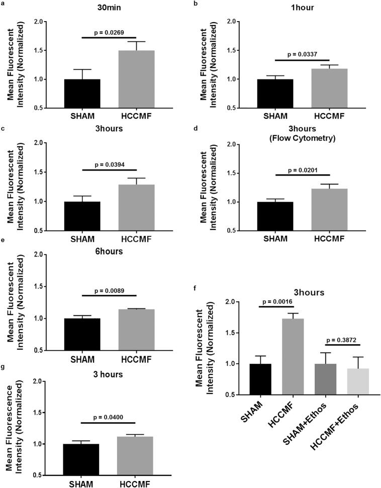 https://cdn.ncbi.nlm.nih.gov/pmc/blobs/370a/6604666/68c9bc4e1bc5/gr4.jpg