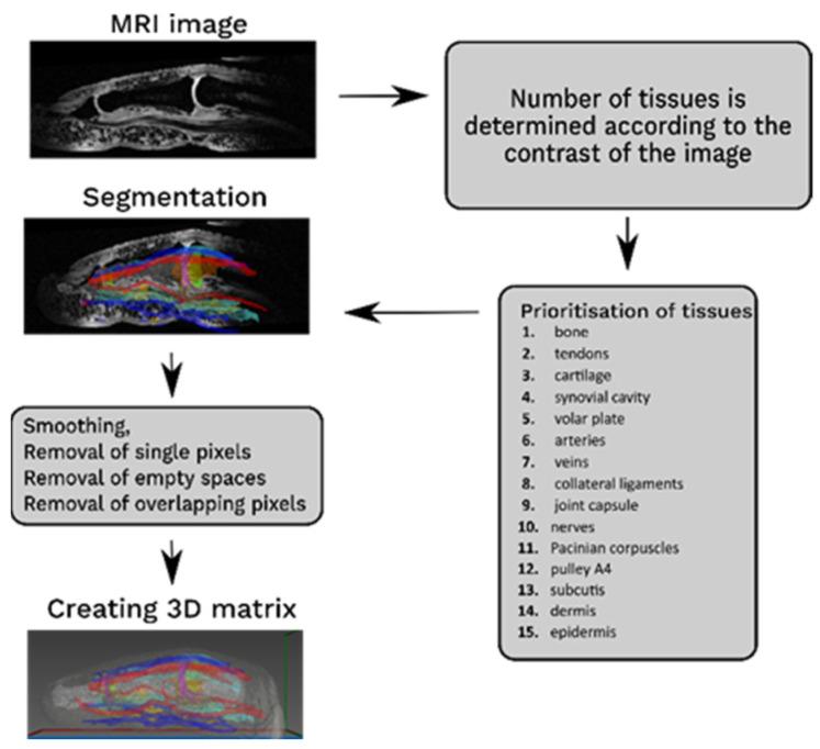 https://cdn.ncbi.nlm.nih.gov/pmc/blobs/370b/9611080/5f17caa8f810/tomography-08-00196-g001.jpg