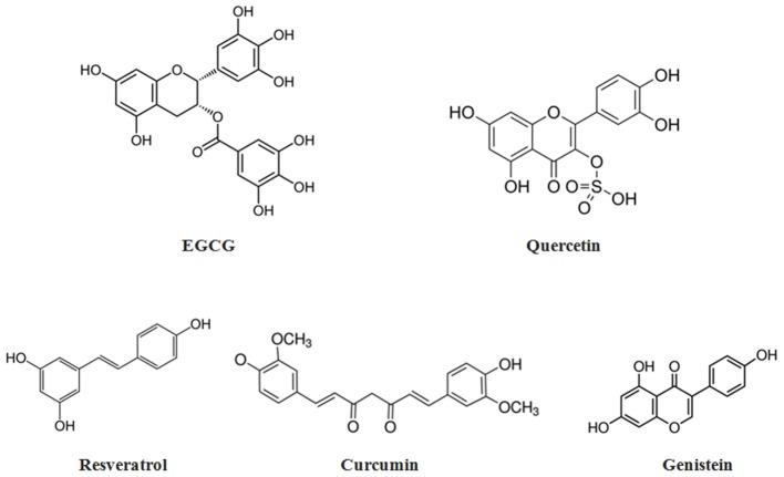 https://cdn.ncbi.nlm.nih.gov/pmc/blobs/370c/6965023/3ae12d3708c1/fbioe-07-00447-g0003.jpg