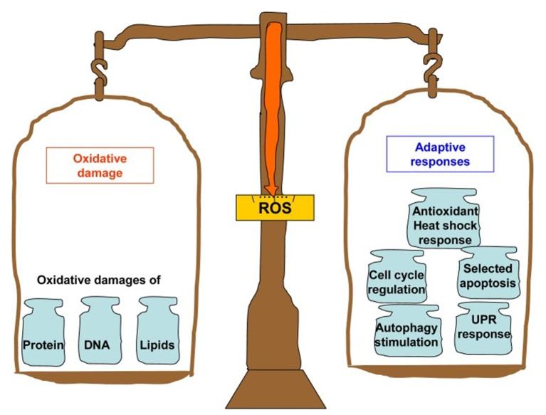 https://cdn.ncbi.nlm.nih.gov/pmc/blobs/370c/6965023/6558e3e1ae75/fbioe-07-00447-g0001.jpg