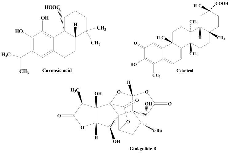 https://cdn.ncbi.nlm.nih.gov/pmc/blobs/370f/10673433/7a9d56ffea3f/molecules-28-07588-g007.jpg