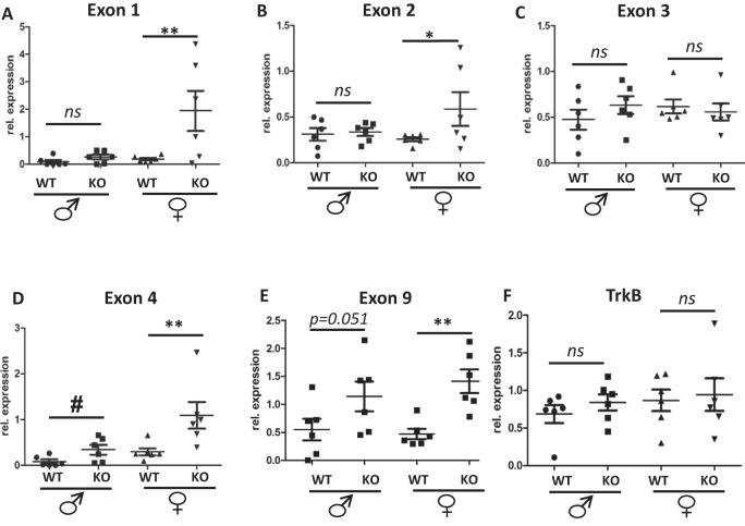 https://cdn.ncbi.nlm.nih.gov/pmc/blobs/3710/11153140/ae364fa81daf/41380_2023_2359_Fig5_HTML.jpg