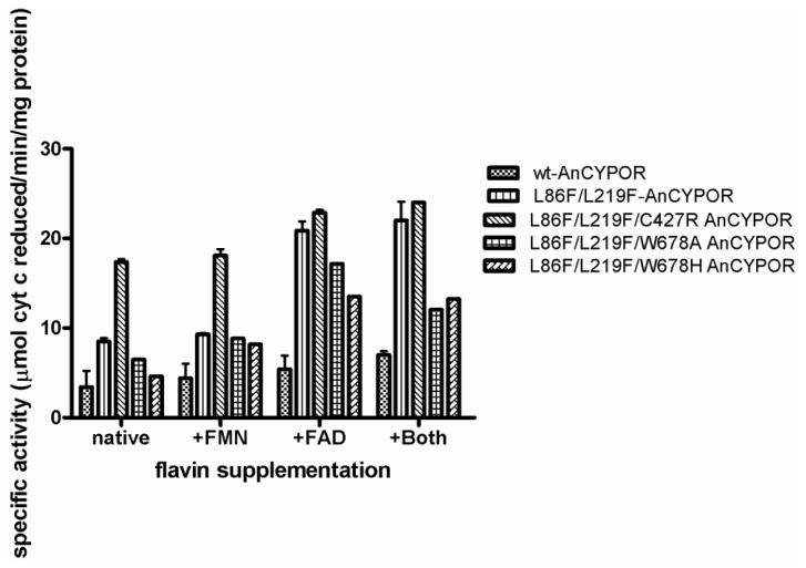 https://cdn.ncbi.nlm.nih.gov/pmc/blobs/3710/3565348/7558132a53cc/ijms-14-01788f3.jpg