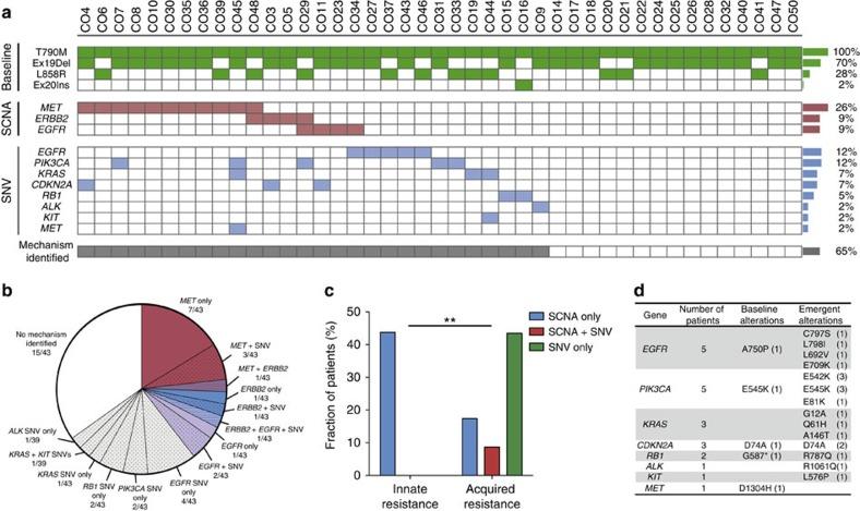 https://cdn.ncbi.nlm.nih.gov/pmc/blobs/3711/4906406/526783998931/ncomms11815-f2.jpg