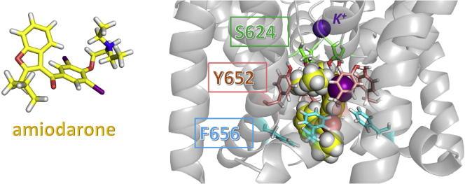 https://cdn.ncbi.nlm.nih.gov/pmc/blobs/3711/4959829/13cd1114686e/fx1.jpg