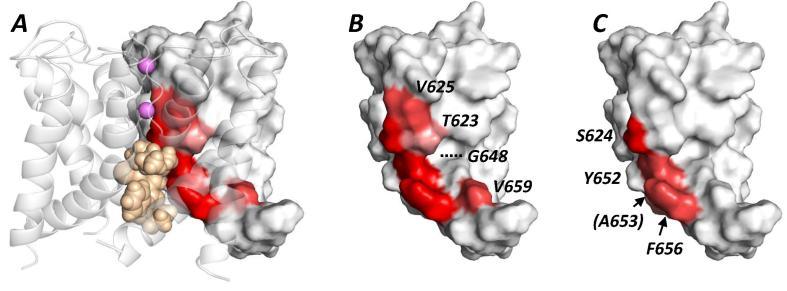 https://cdn.ncbi.nlm.nih.gov/pmc/blobs/3711/4959829/c15ef93635cb/gr7.jpg