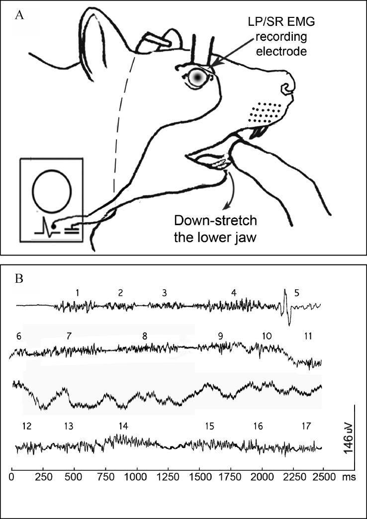 https://cdn.ncbi.nlm.nih.gov/pmc/blobs/3714/5460614/18d3e575d0d7/jbr-31-03-256-fig1.jpg