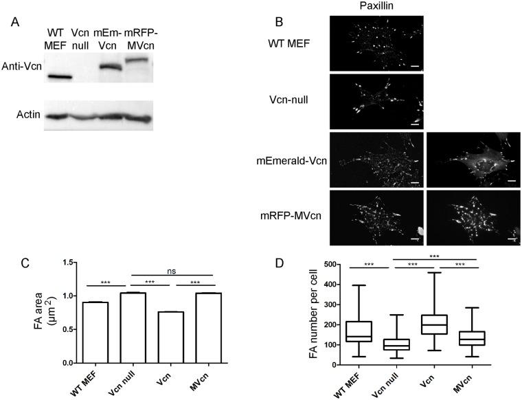 https://cdn.ncbi.nlm.nih.gov/pmc/blobs/3716/6726196/966ded79923a/pone.0221962.g002.jpg