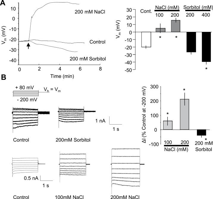 https://cdn.ncbi.nlm.nih.gov/pmc/blobs/3718/3969528/ab38221ba2e8/exbotj_ert460_f0005.jpg