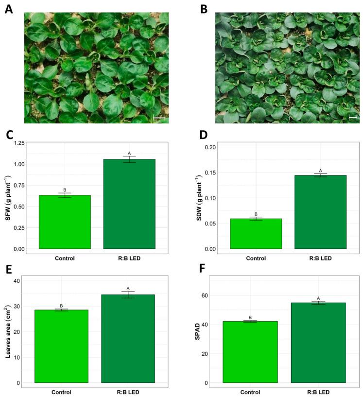 https://cdn.ncbi.nlm.nih.gov/pmc/blobs/3719/12197136/15ed27343a7a/plants-14-01887-g001.jpg