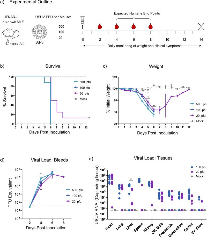 https://cdn.ncbi.nlm.nih.gov/pmc/blobs/371a/11775335/67341b5a925f/44298_2025_89_Fig2_HTML.jpg