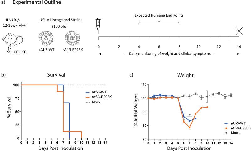 https://cdn.ncbi.nlm.nih.gov/pmc/blobs/371a/11775335/6ad72da10880/44298_2025_89_Fig3_HTML.jpg