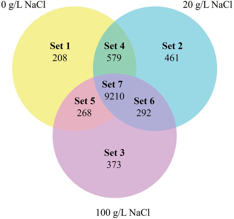 https://cdn.ncbi.nlm.nih.gov/pmc/blobs/371c/12096660/949374084646/TMYC_A_2408259_F0001_OC.jpg