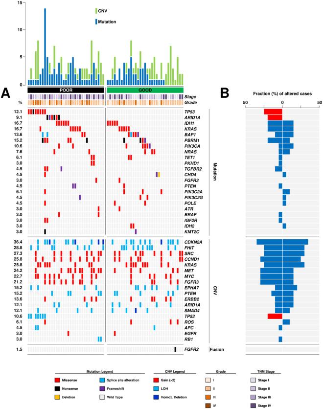 https://cdn.ncbi.nlm.nih.gov/pmc/blobs/371d/5940669/12f532f92906/41598_2018_25669_Fig2_HTML.jpg
