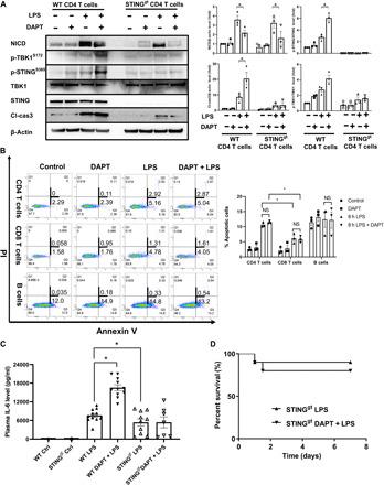 https://cdn.ncbi.nlm.nih.gov/pmc/blobs/371e/7531880/11ac525c634b/abc5447-F3.jpg