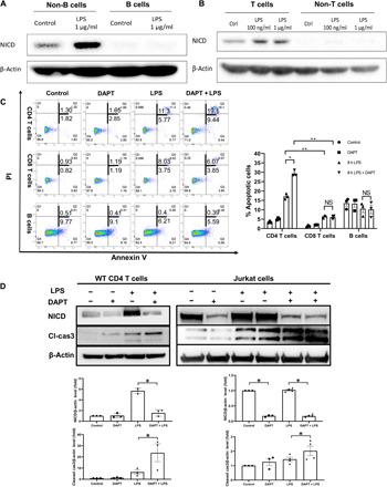 https://cdn.ncbi.nlm.nih.gov/pmc/blobs/371e/7531880/75307ecb7e9a/abc5447-F2.jpg