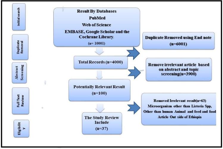 https://cdn.ncbi.nlm.nih.gov/pmc/blobs/3720/11005847/4c85750287e9/VMRR-15-109-g0002.jpg