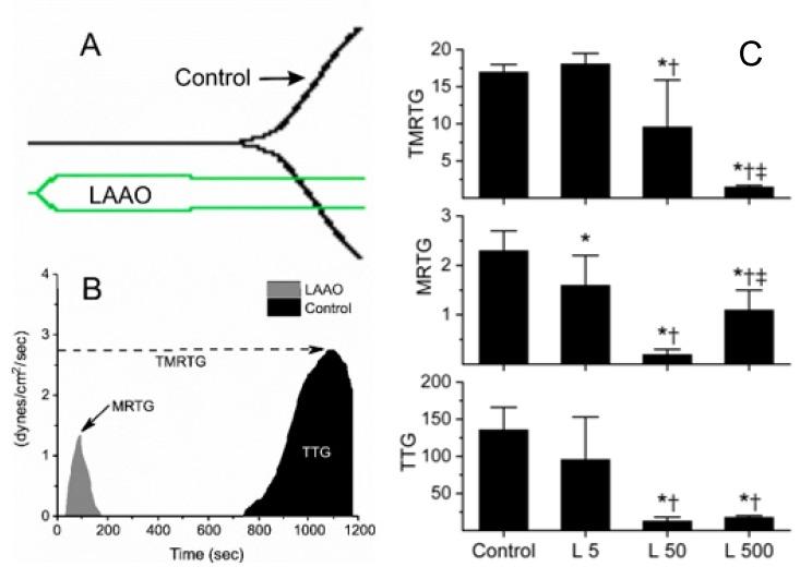 https://cdn.ncbi.nlm.nih.gov/pmc/blobs/3722/6801523/649ceb779cd5/ijms-20-04853-g001.jpg