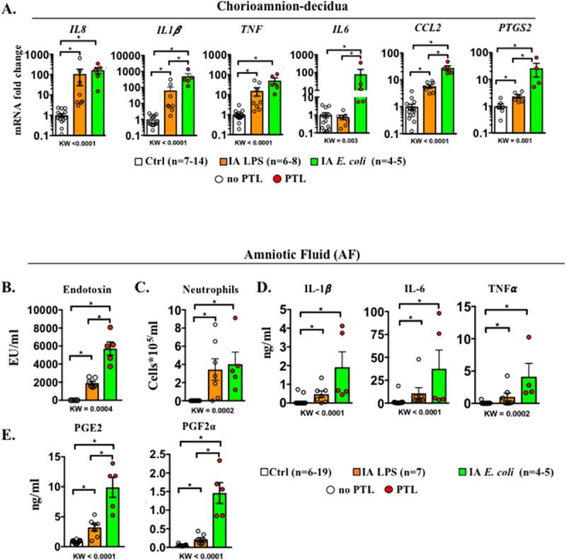 https://cdn.ncbi.nlm.nih.gov/pmc/blobs/3723/8452070/5769205cc692/pbio.3001385.g002.jpg