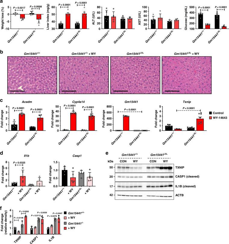 https://cdn.ncbi.nlm.nih.gov/pmc/blobs/3726/7673042/b4a1ffac7998/41467_2020_19554_Fig5_HTML.jpg