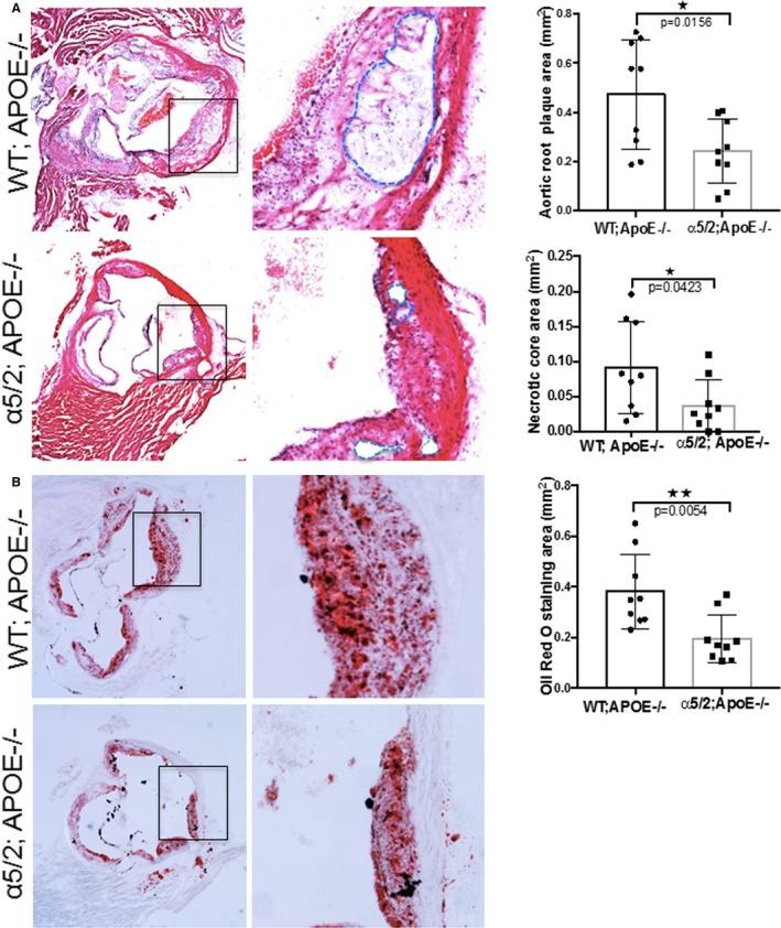 https://cdn.ncbi.nlm.nih.gov/pmc/blobs/3729/5850249/89842d74734a/JAH3-7-e007501-g002.jpg