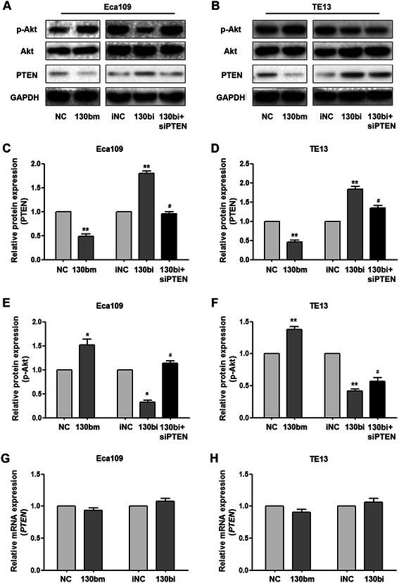 https://cdn.ncbi.nlm.nih.gov/pmc/blobs/372c/4318221/b553562618e6/12885_2015_1031_Fig3_HTML.jpg