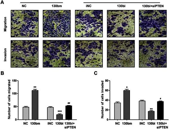 https://cdn.ncbi.nlm.nih.gov/pmc/blobs/372c/4318221/d716be4a8a50/12885_2015_1031_Fig5_HTML.jpg