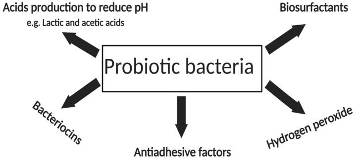 https://cdn.ncbi.nlm.nih.gov/pmc/blobs/372e/7696787/cddc28640979/pharmaceutics-12-01099-g001.jpg