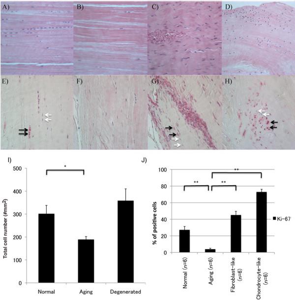 https://cdn.ncbi.nlm.nih.gov/pmc/blobs/372f/3672799/759e865bdf5d/ar4165-1.jpg