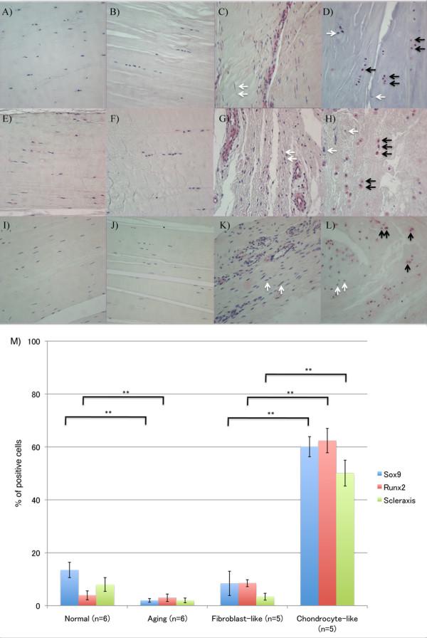 https://cdn.ncbi.nlm.nih.gov/pmc/blobs/372f/3672799/9959356b496a/ar4165-2.jpg